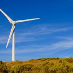 Energy Law and Policy