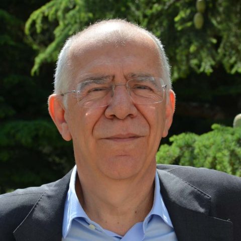 Pier Luigi Parcu