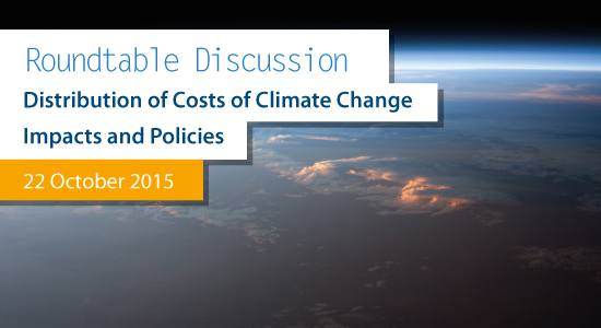 Round Table on the Distribution of Costs of Climate Change Impacts and Policies