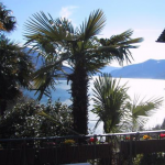 fsr climate news ascona conference