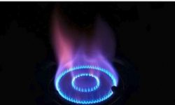 opal-gas-pipeline