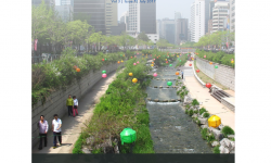 Sustainability in the Urban Context