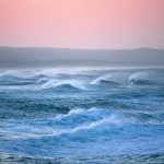 Max Weber Lab experiments for Climate Policy