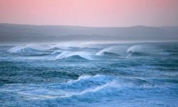 Max Weber Lab experiments for Climate Policy