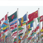 Carbon Market workshop news
