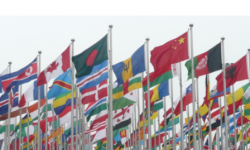 Carbon Market workshop news