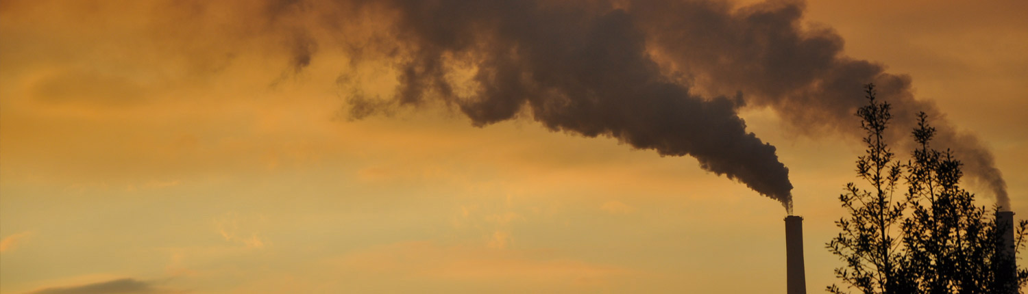 Assessing the Efficiency-Fairness Trade-Offs from a Revenue-Neutral Carbon Tax