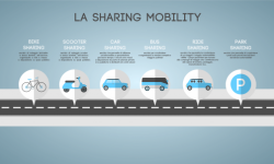 survey sharing mobility