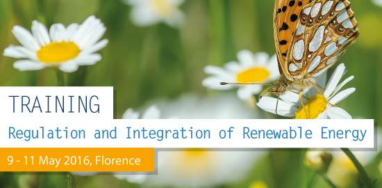 Regulation and Integration of Renewable Energy