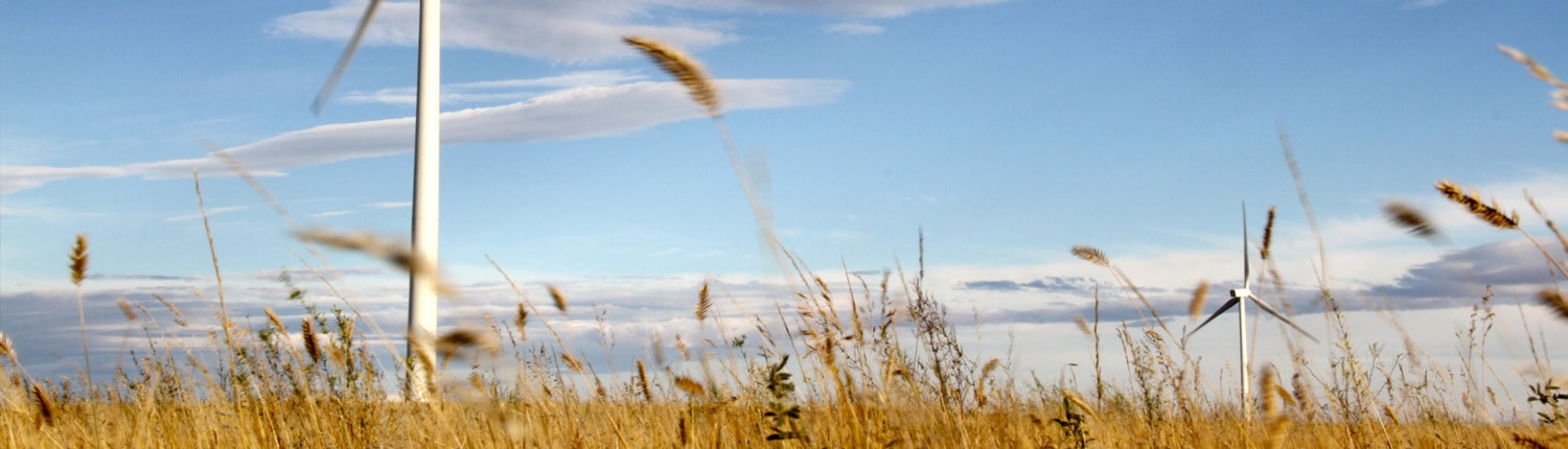 Renewable Energy Intermittency and its Impact on Thermal Generation