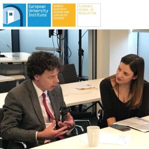 Podcast: What lessons from the SmartNet Project? | A. Burgess (CEER, OFGEM)