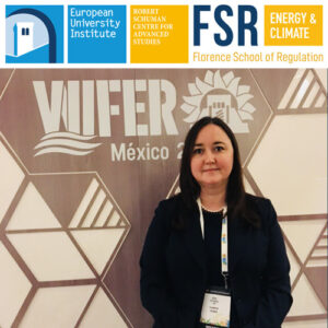 Podcast: World Forum on Energy Regulation 2018 | Aida Sitdikova (EBRD)