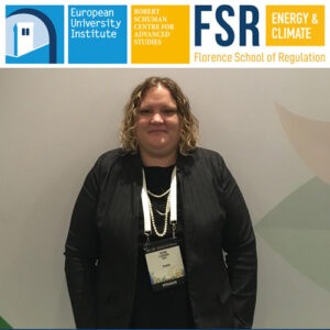 Podcast: World Forum on Energy Regulation 2018 | Bevan Flansburg (NARUC)