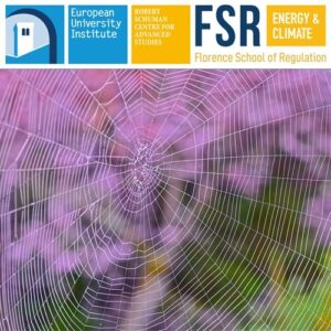 Podcast: Capacity Withdrawals in Electricity Wholesale Markets – Competition & Regulation │ P. Tsangaris