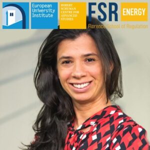 Podcast: Diving into Brazil’s energy transition | Agnes da Costa