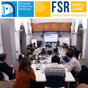 Podcast: Stock-flow consistent modelling | Takeways from the Energy Innovation Academy