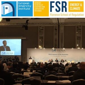 Podcast: Implementing a global renewable energy agenda | Paul Van Son(Dii)
