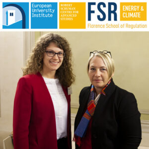 Podcast: Zonal pricing for electricity – The recent experience of Austria | Christine Materazzi-Wagner