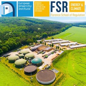 Podcast: EU gas markets standardisation – energy transition shortcut or obstacle? | Nicolas Peugniez GRTgaz