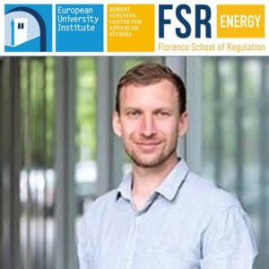 Podcast: Business models for a digitalised electricity sector: VPPs | Jan Aengenvoort (Next Kraftwerke)