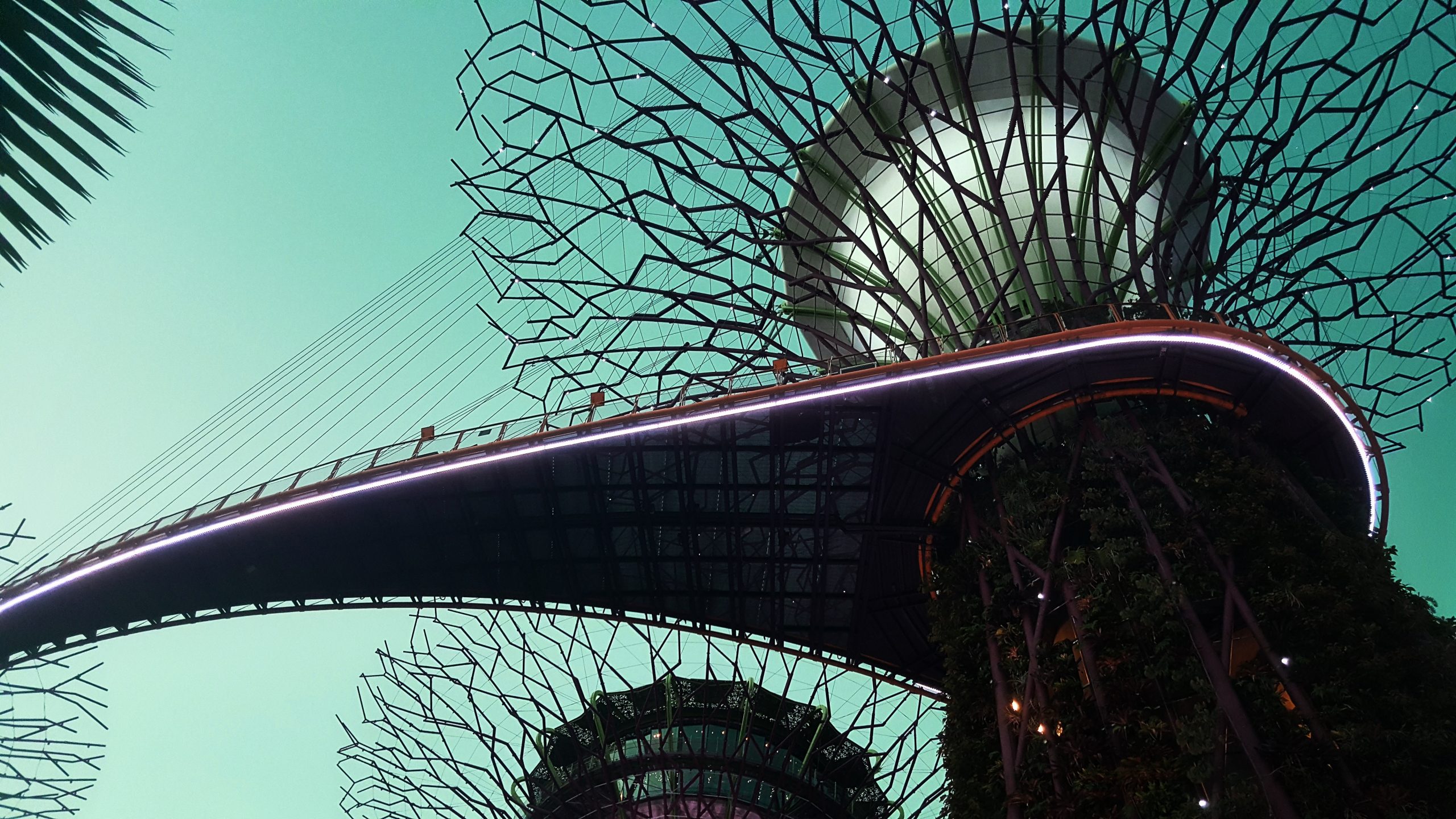 Gardens by the Bay, Singapore