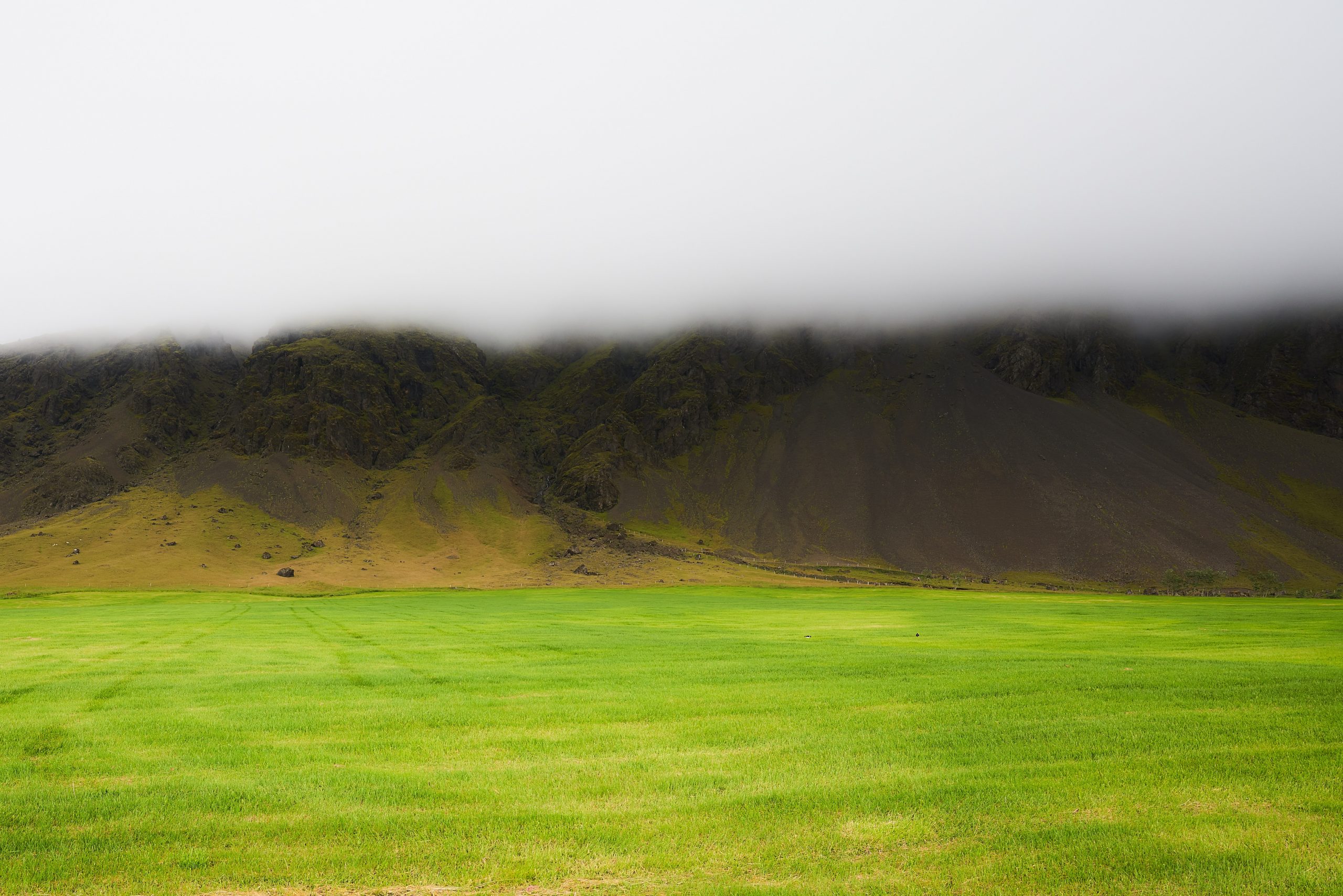 green and grey landscape