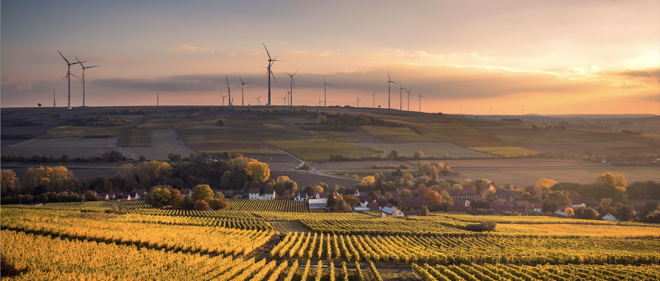 collective self consumption