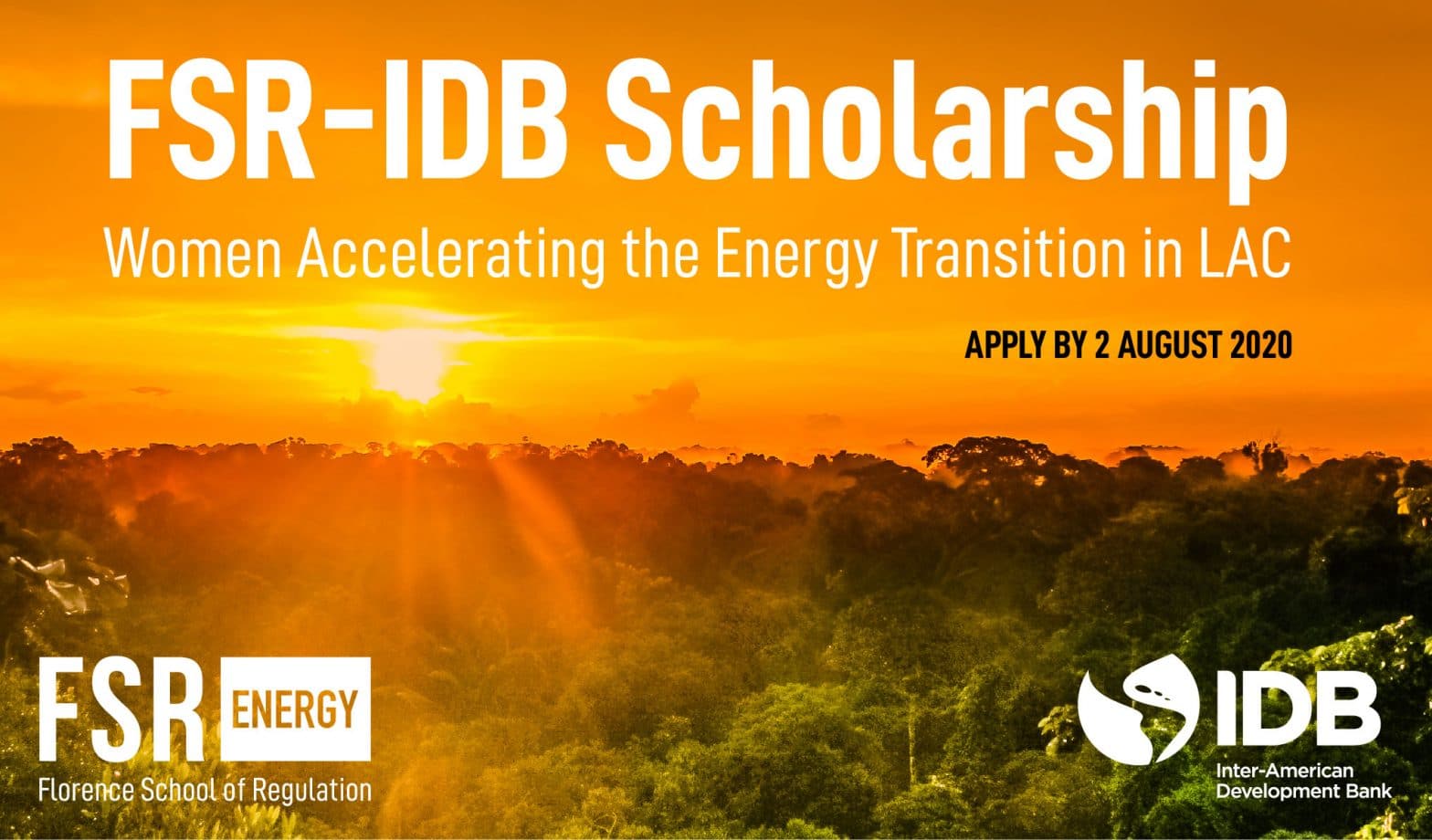 Scholarship: Women Accelerating the Energy Transition in LAC