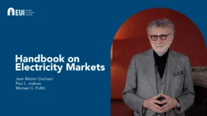 The unrivaled guide to electricity markets