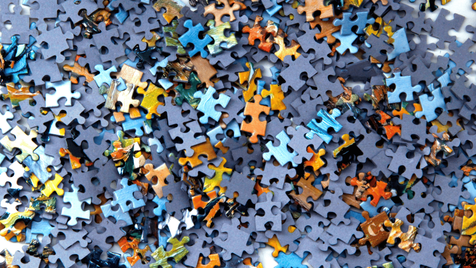 FSR Annual Scholarships 2021: Meet the recipients!