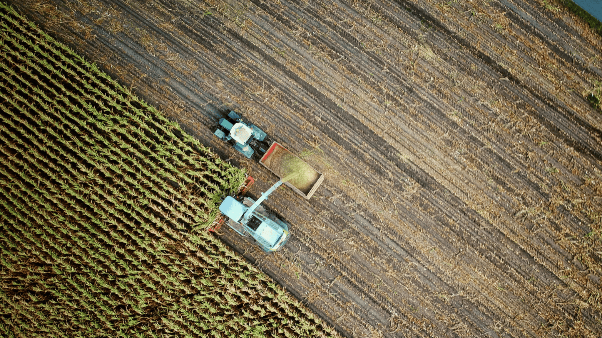 Aerial view of a tractor harvesting crops in a large field