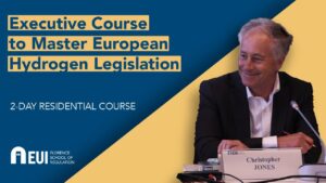 Executive Course to Master European Hydrogen Legislation