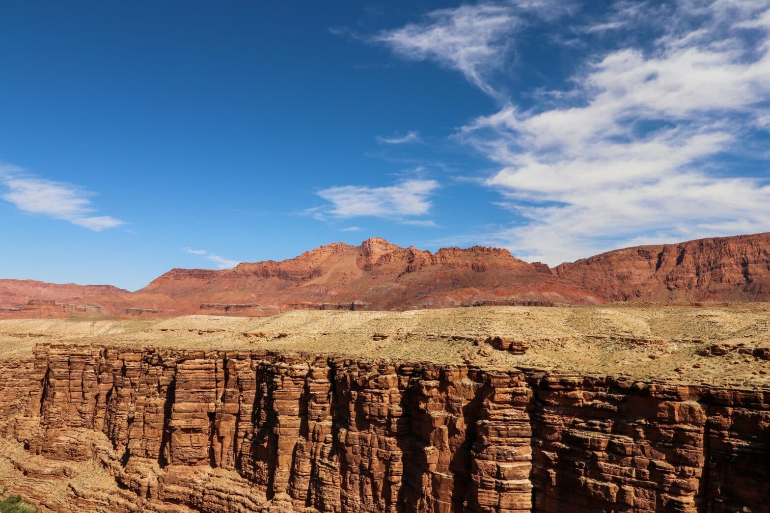 Trump and the EU’s Critical Raw Materials Dilemma: A New Era of Supply Chain Vulnerability