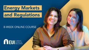 Energy markets and regulations | FSR online course