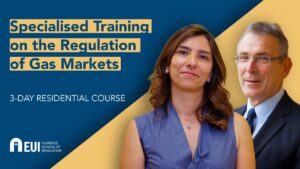 Specialised Training on the Regulation of Gas Markets | FSR course in Florence
