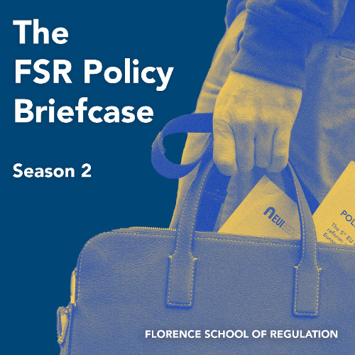 #7 The Global South implications of EU ESG policy and how to make it more just with Mira Tiwari