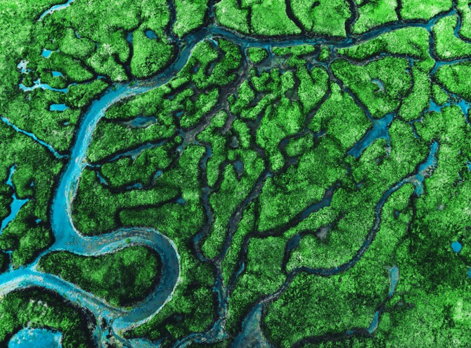 Towards a global carbon market: how to ensure integrity and cooperation