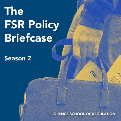 #10 Sustainable Agriculture in Europe’s Climate and Trade Agenda with Fabio Santeramo