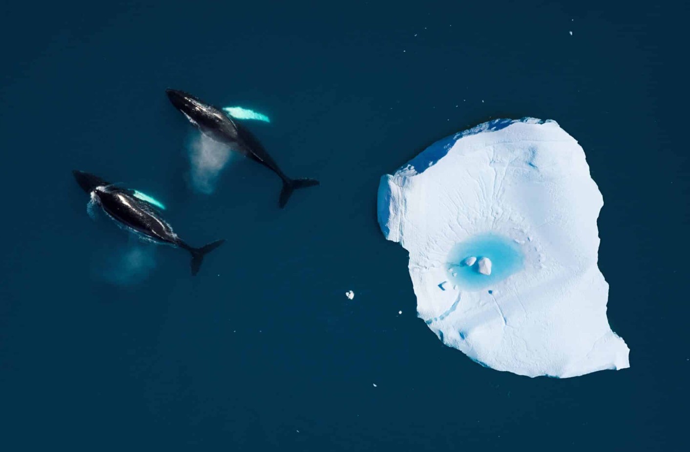 FSR Climate Annual Conference on the Economic Assessment of European Climate Policies