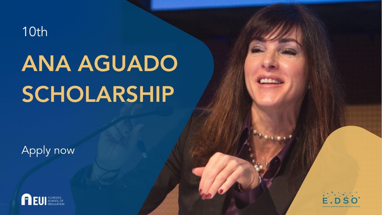 10th Ana Aguado Scholarship