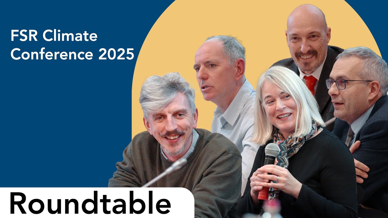 David W. Pearce roundtable | FSR Climate Annual Conference 2025