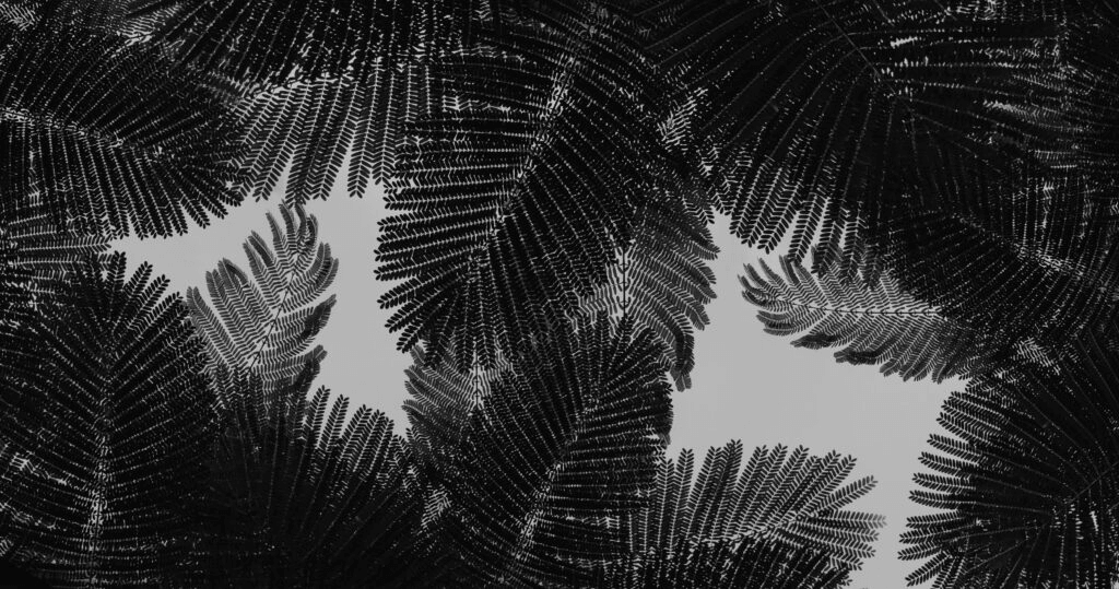 Looking beyond the decarbonization-competitiveness dilemma