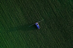 Performance and Tracking in the Common Agricultural Policy