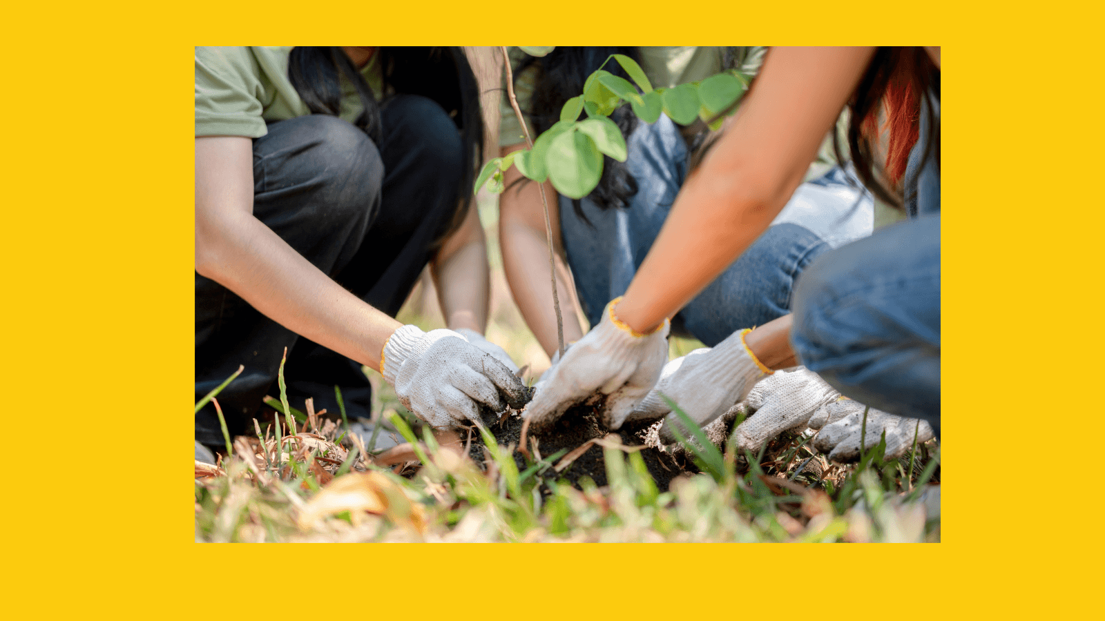 LUCE Awards 2026: Meet the Legacy Women Nominees