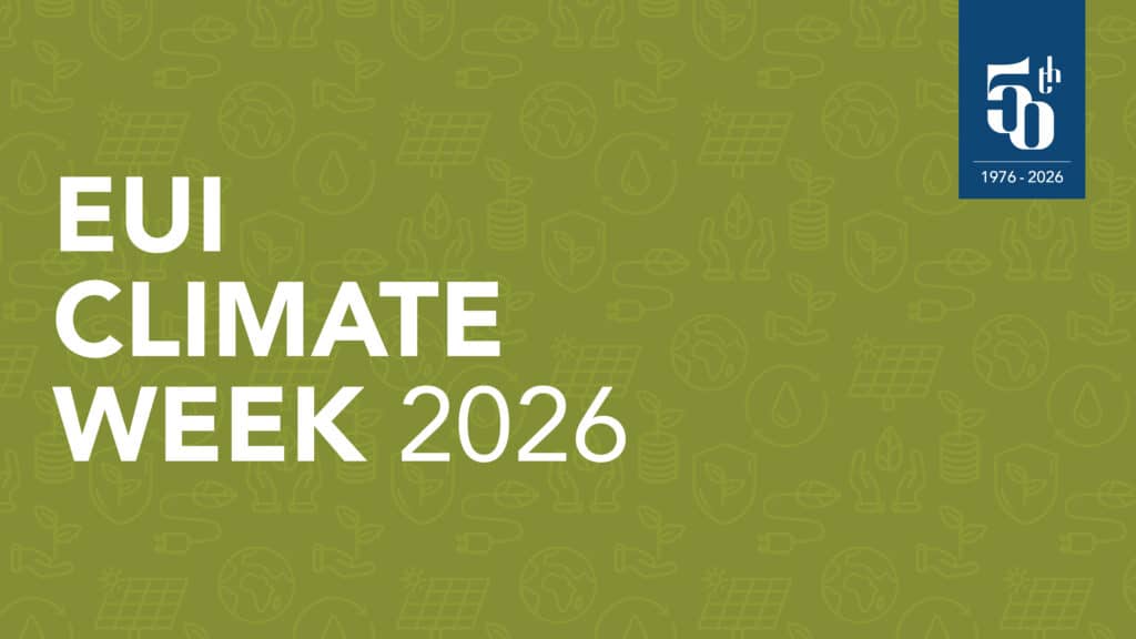 Electrifying EU: from Commission plans to real progress