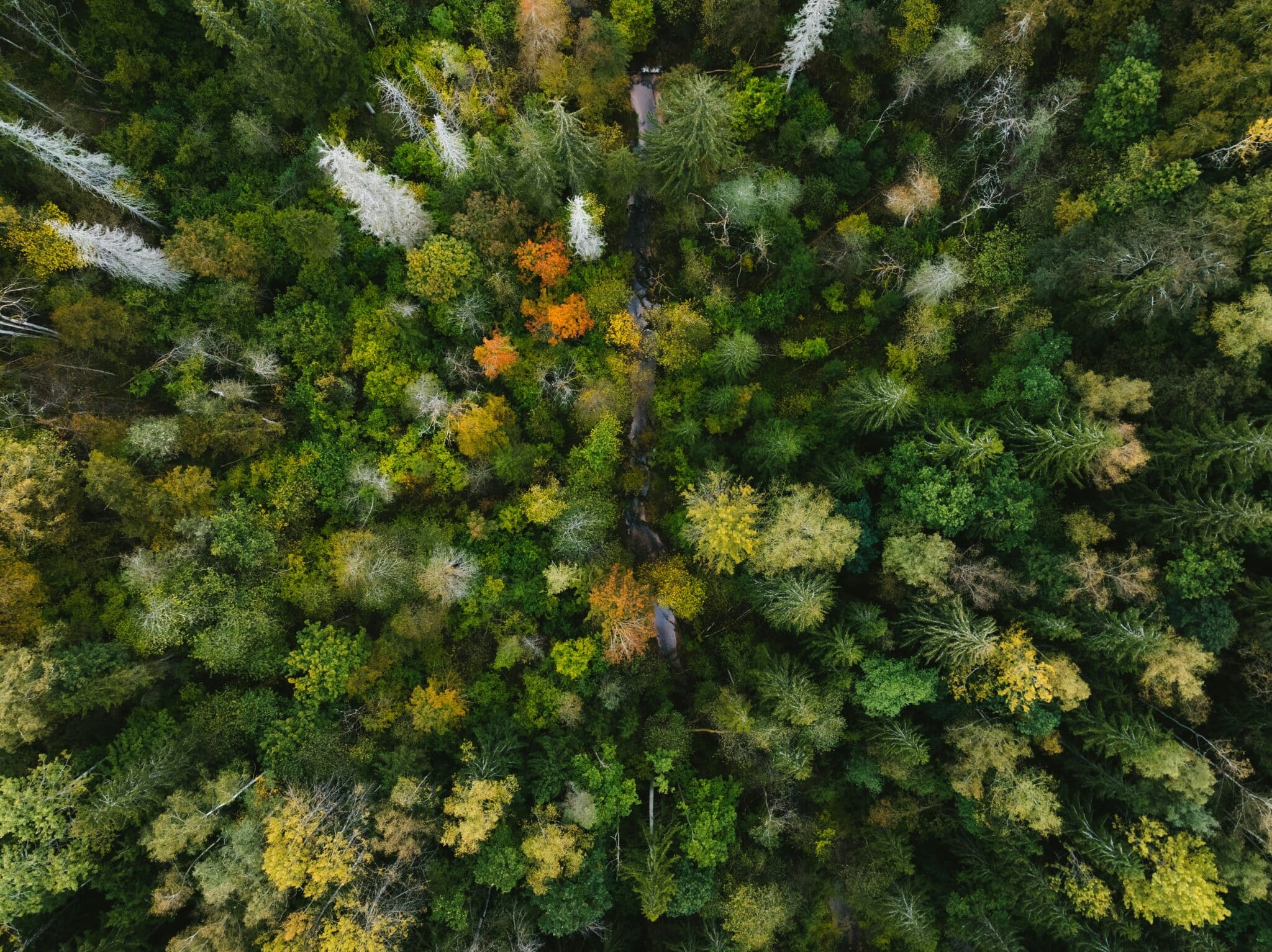From quantity to price: rethinking supply adjustment in the European carbon market