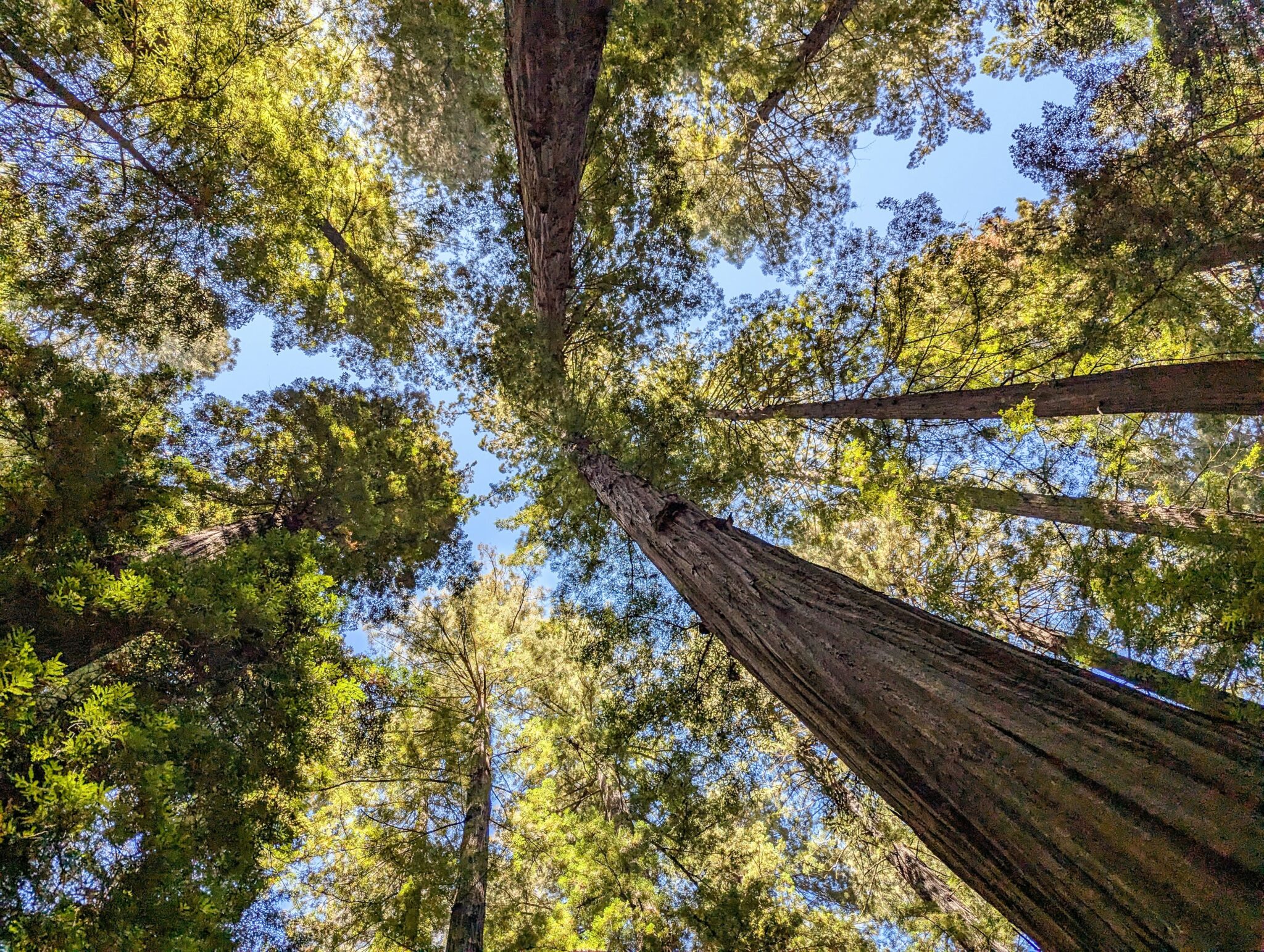 EU ETS reform under political pressure: why scientific assessment matters