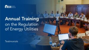 Testimonials | Annual training on the regulation of energy utilities