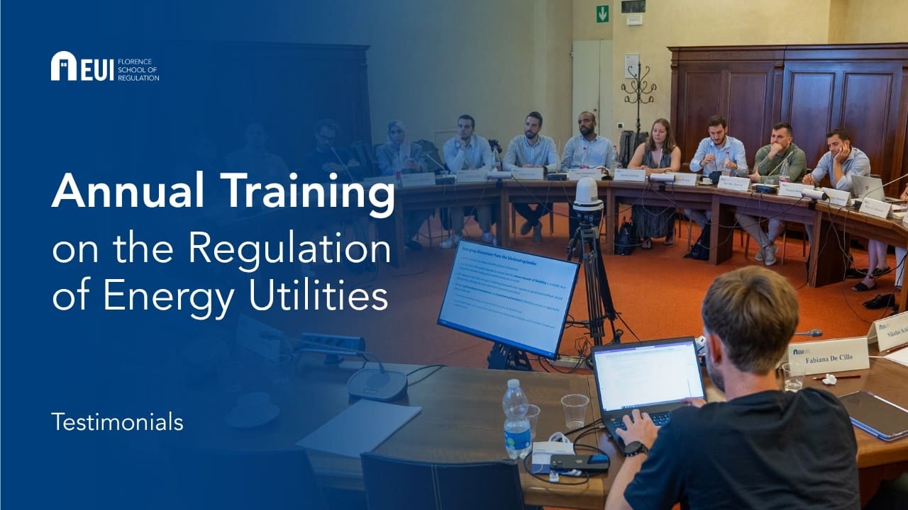 Testimonials | Annual training on the regulation of energy utilities