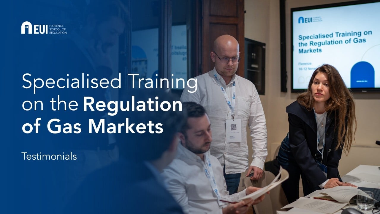 Testimonials | Specialised training on the regulation of gas markets